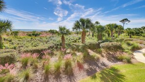 Un jardín ajardinado con palmeras y arbustos, un sendero y vista al océano.
