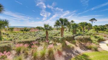 Leilighet (1 Bedroom) | Innvendig