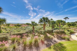 Departamento (1 Bedroom) | Interior