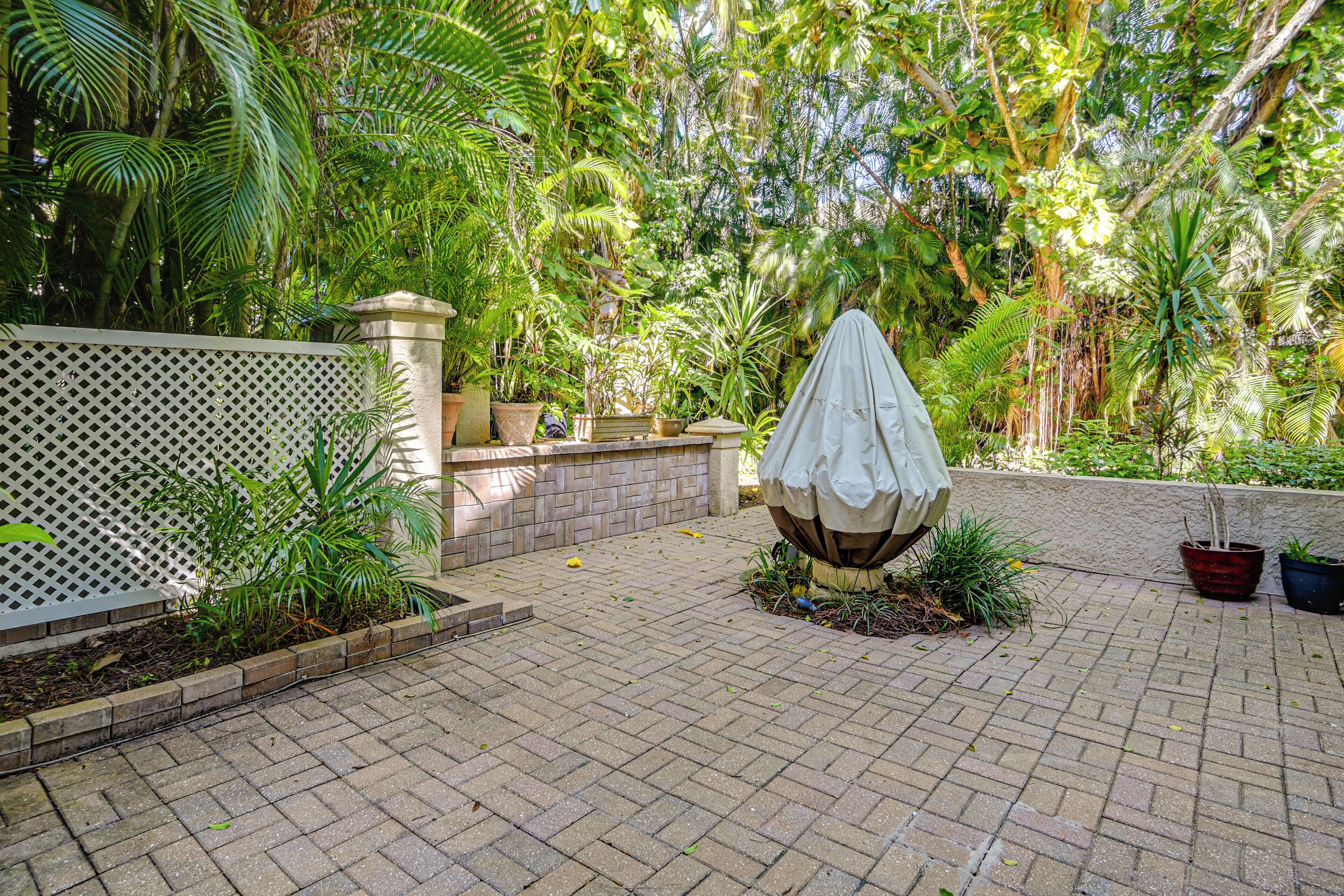 Un'area giardino pavimentata con un ombrellone decorativo, piante in vaso e un recinto a graticcio.