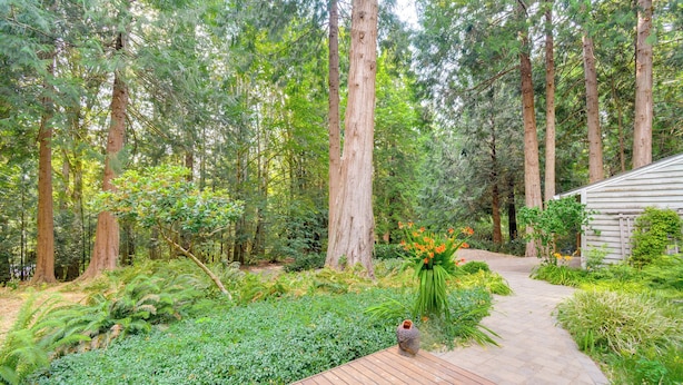 A wooden deck leading through a forested area with tall trees and a small building. - Walk to Beach + Village: Bainbridge Island Gem! (Bainbridge Island)