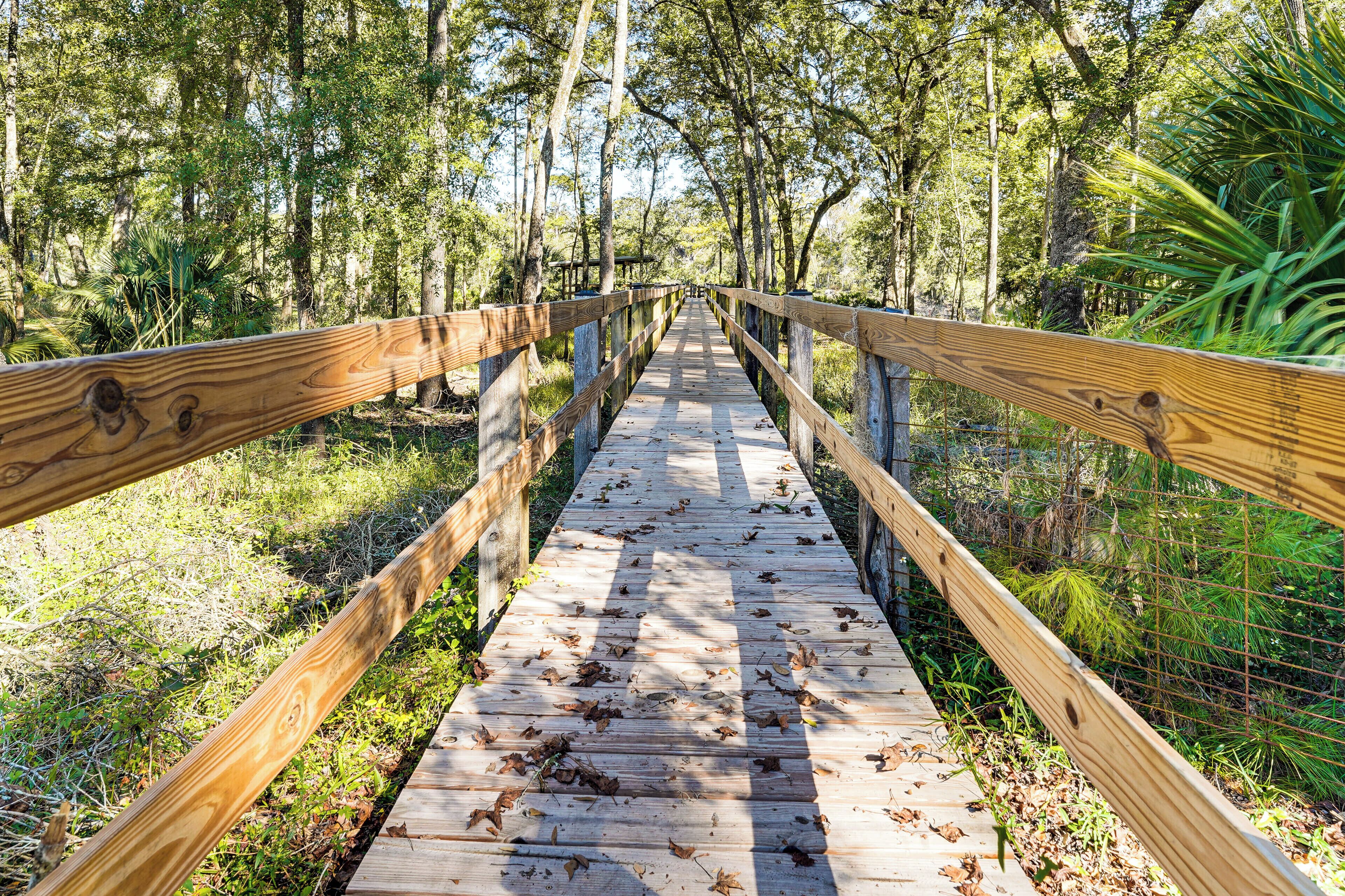 A wooden boardwalk leading through a forested area with trees and greenery on both sides.
