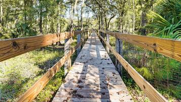 A wooden boardwalk leading through a forested area with trees and greenery on both sides.