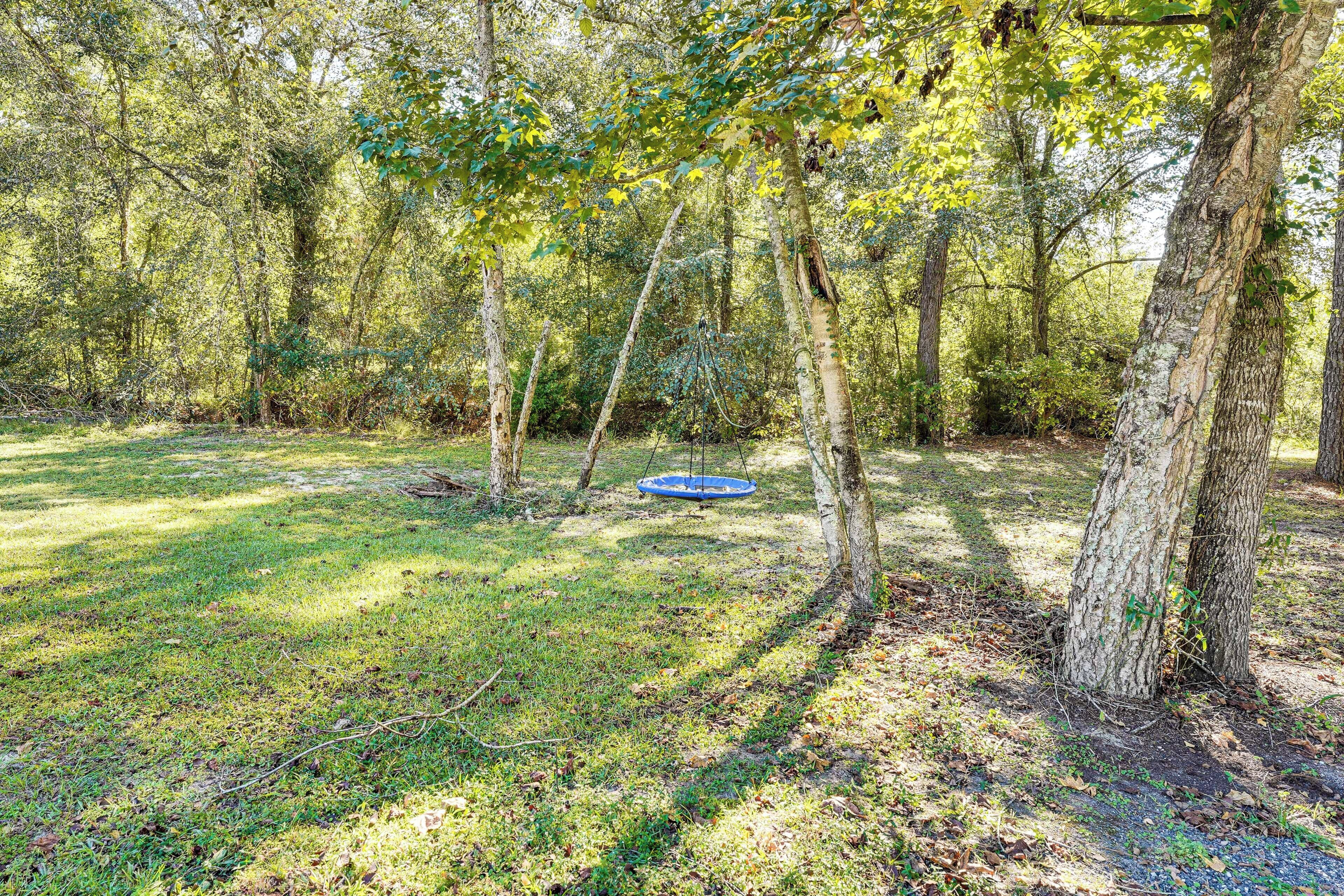 A forested area with a swing set and a blue trampoline.