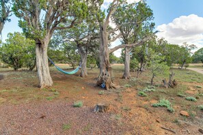 A hammock between two large trees in a natural setting.