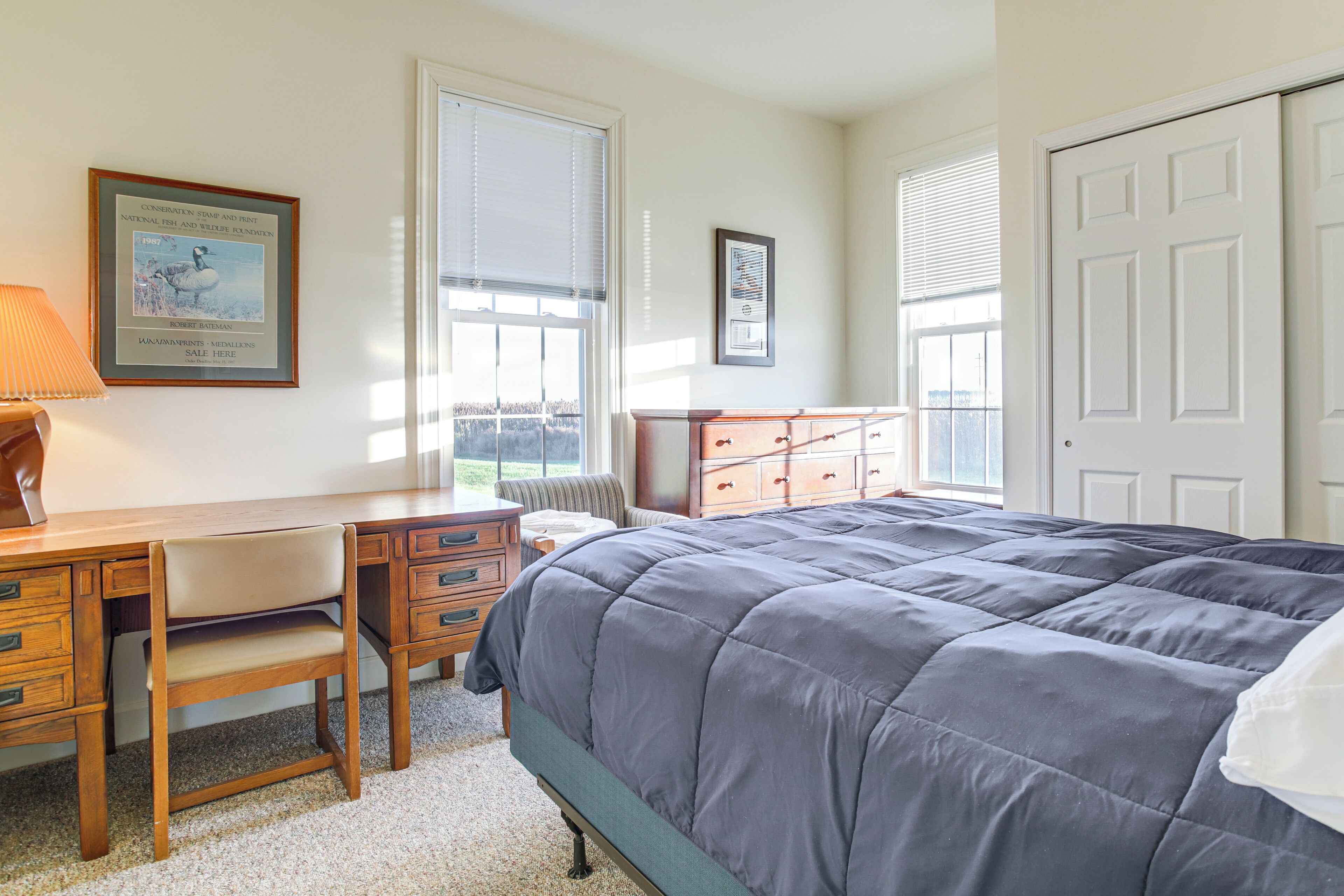 A bedroom with a bed, a desk, a chair, and a dresser.