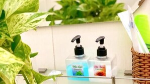 Kylpyhuoneessa on lasihylly, jonka päällä on kaksi shampoopulloa ja palasaippua, viherkasvi sekä vihreä harja, joka on punottuun koriin asetettu.