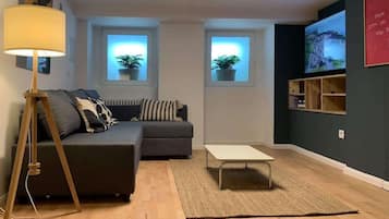 Fernseher, Arbeitsbereiche