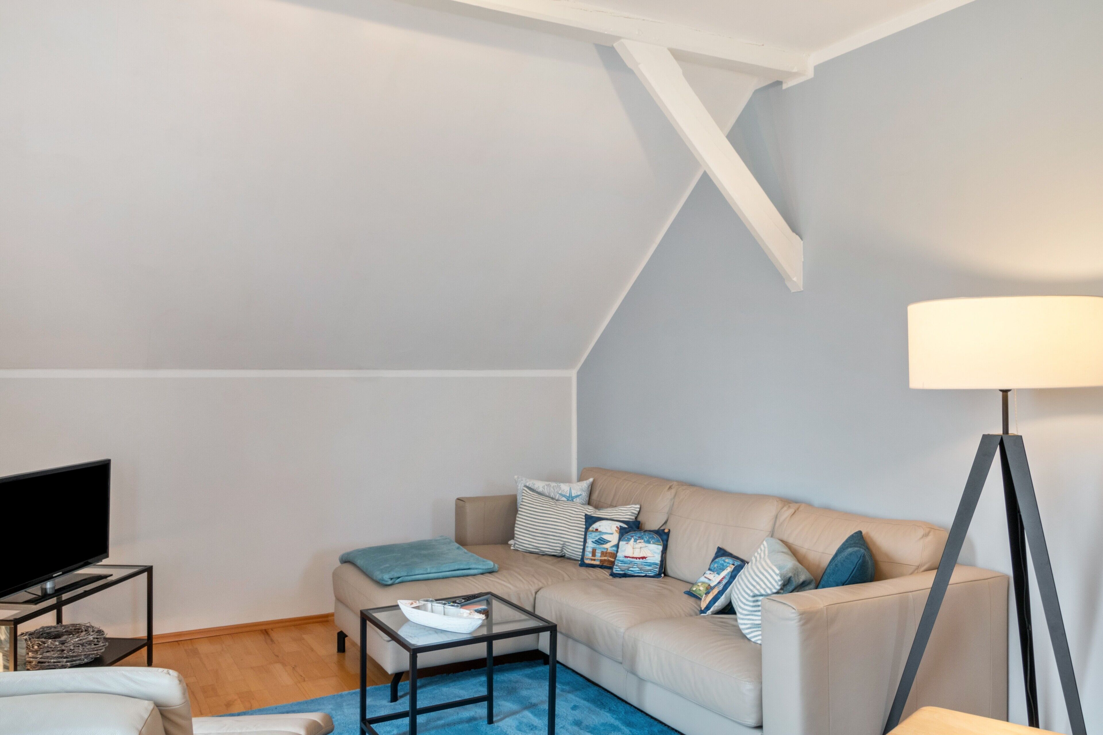 Televisio, DVD-soitin