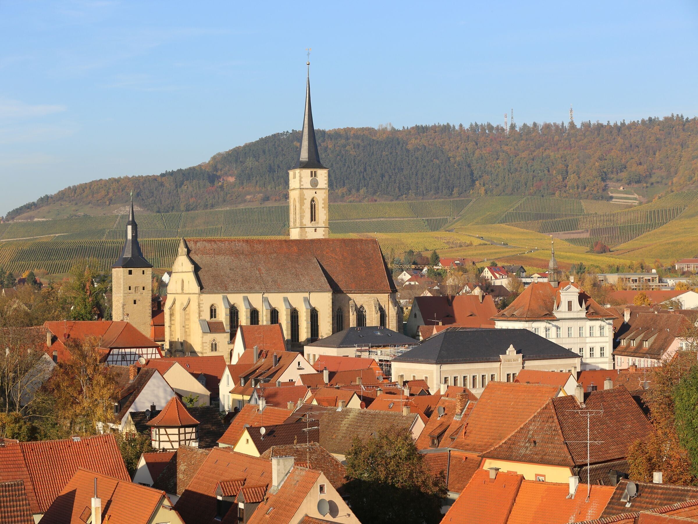 En by med historiske bygninger, en markant kirke og vinmarker i baggrunden.