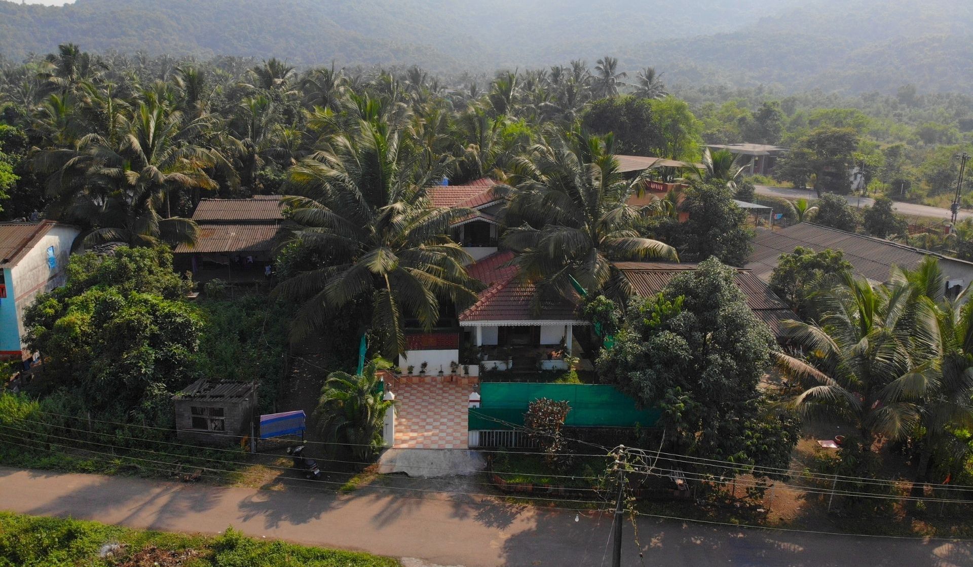 A rural village with houses surrounded by palm trees and a mountainous backdrop.