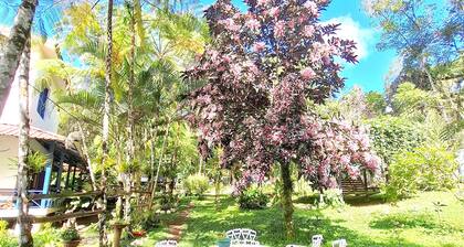 Riverfront Home Perfect for Groups in the Middle of the Mountains