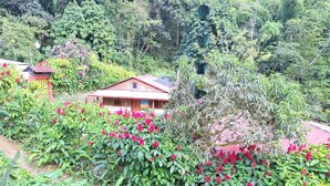 A rustic house surrounded by lush greenery and vibrant flowers. - Riverfront Home Perfect for Groups in the Middle of the Mountains (Vallejito Abajo)