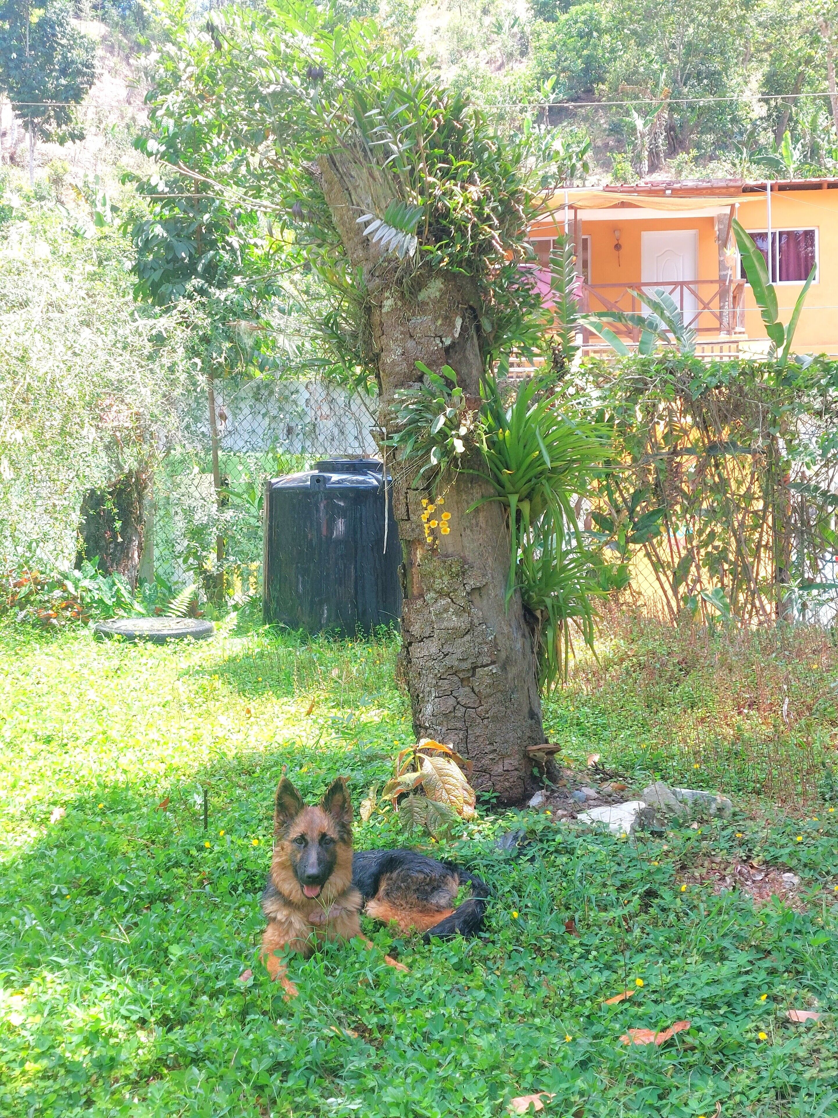 Jardines del alojamiento