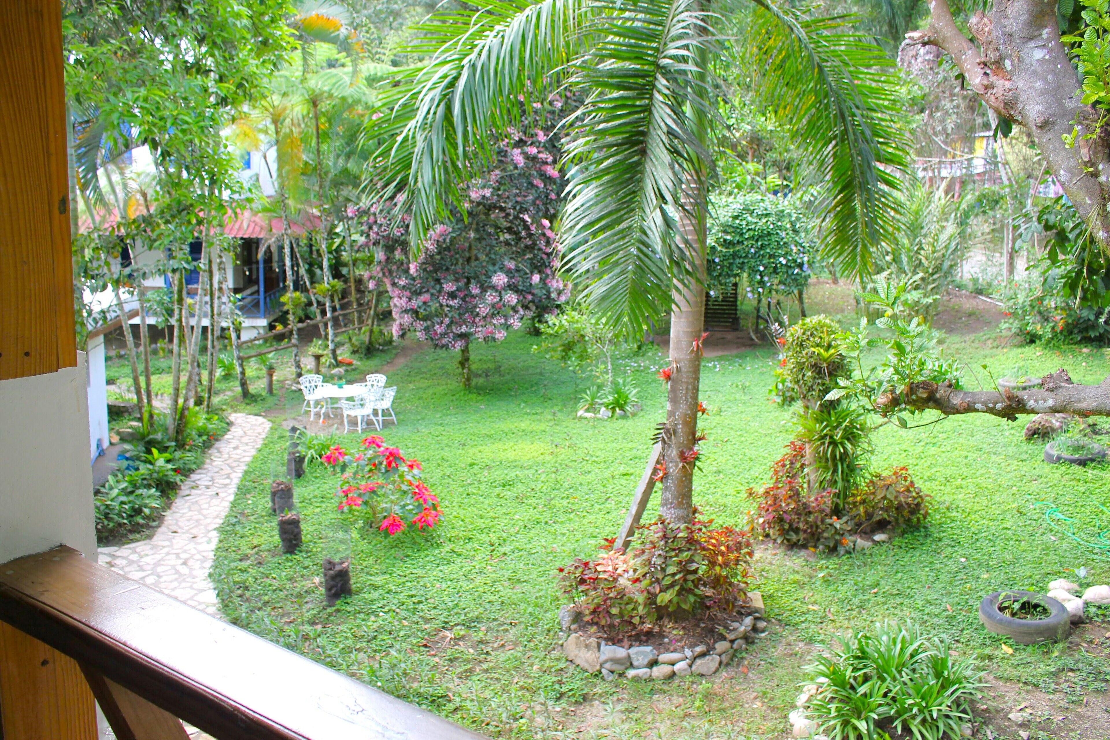 Un jardin luxuriant avec un palmier, un sentier en pierre et une table blanche entourée de chaises.