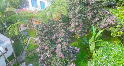 Riverfront Home Perfect for Groups in the Middle of the Mountains