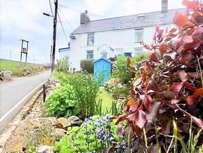 Property grounds - Cosy Romantic Pet-Free Cottage, Llŷn Peninsula 5 Mins to Coast Path Lovely Views (Llithfaen)