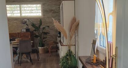 House between Provence and Camargue