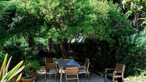 Un espace patio aménagé avec une table et des chaises, entouré d’une végétation luxuriante et de plantes en pot.