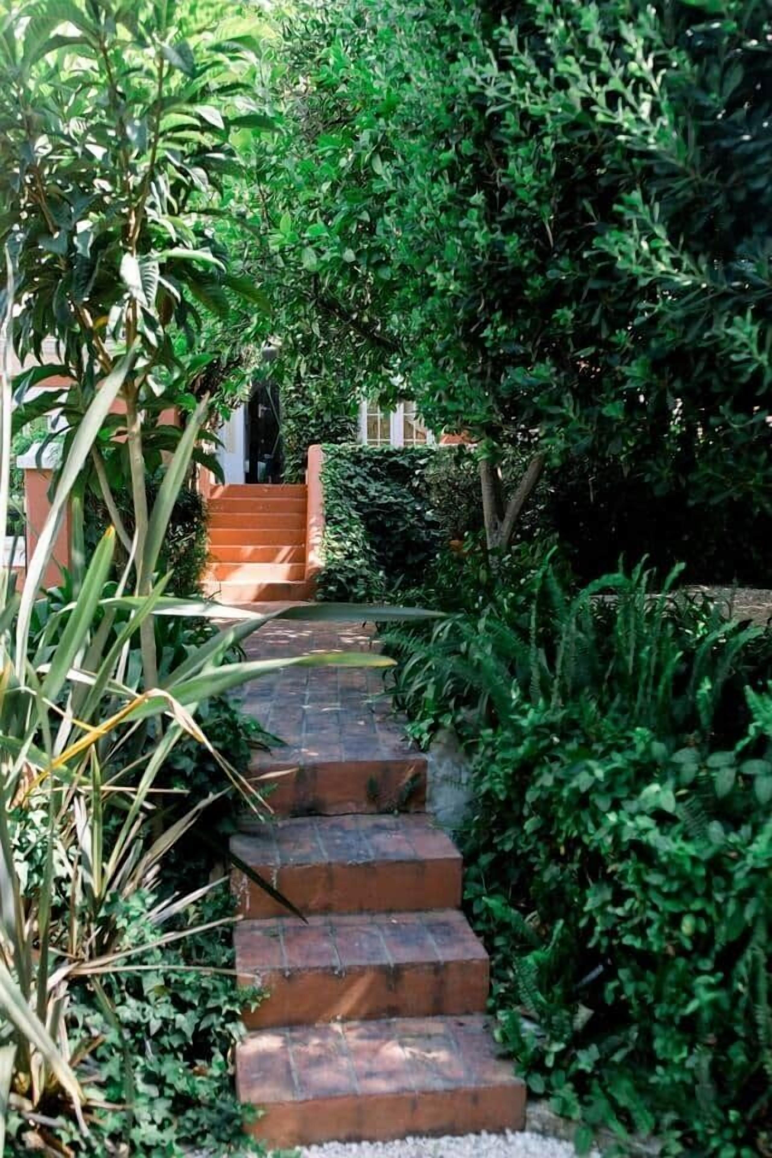 A brick staircase leading up to a building, surrounded by lush greenery and plants.