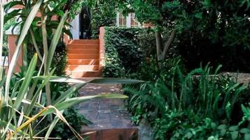 A brick staircase leading up to a building, surrounded by lush greenery and plants.