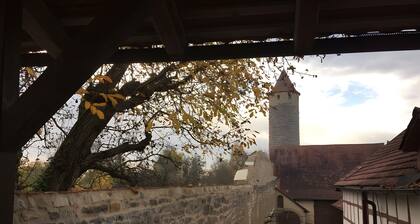 Ferienwohnung 'Eulenturm' mit Gemeinschaftsgarten, Balkon und WLAN