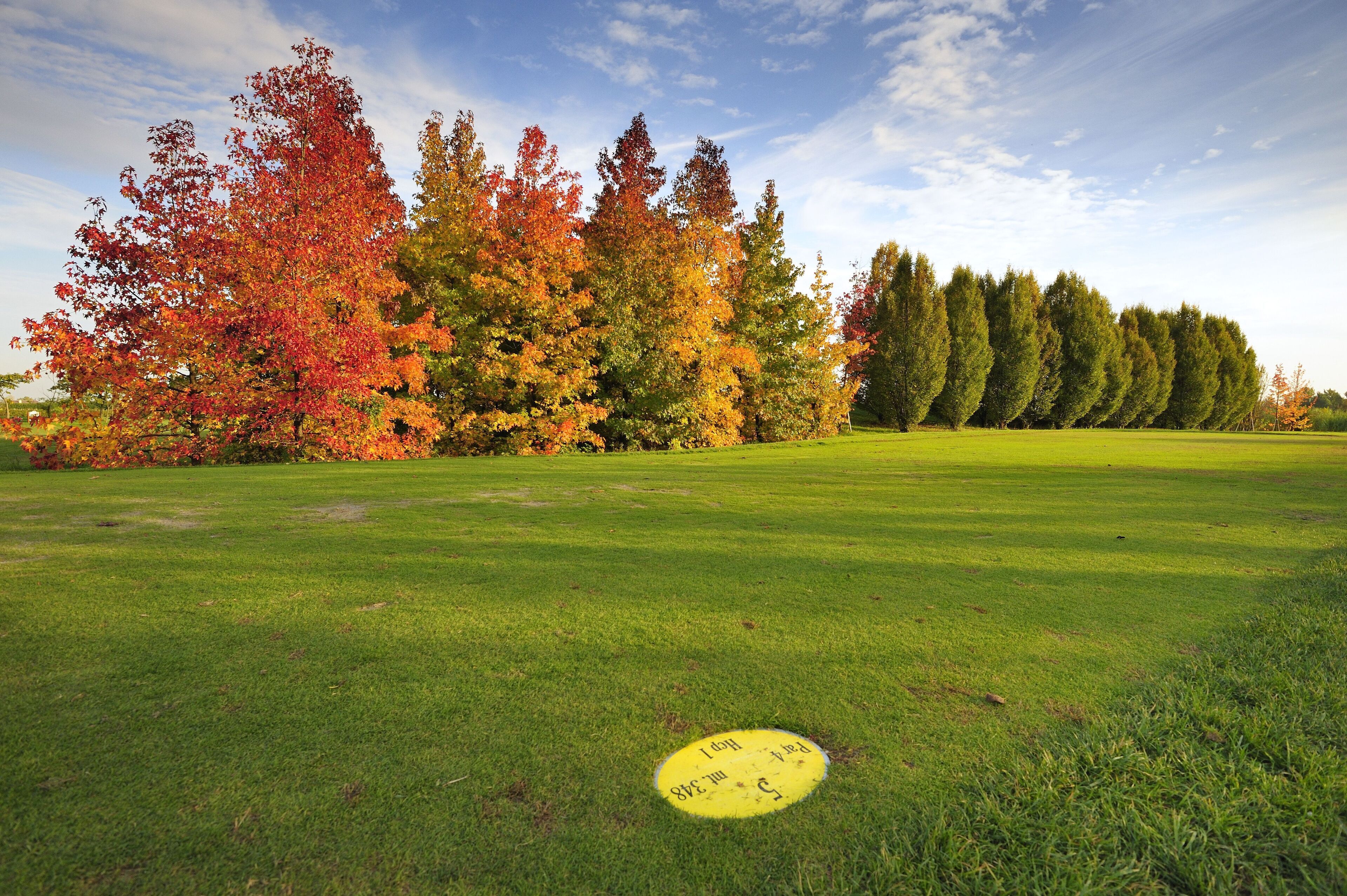Ein grasbewachsenes Feld mit herbstlich gefärbten Bäumen und einem gelben Frisbee im Gras.