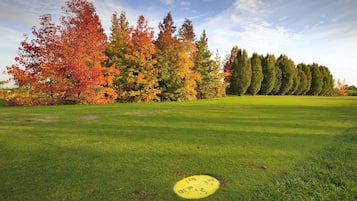 Ein grasbewachsenes Feld mit herbstlich gefärbten Bäumen und einem gelben Frisbee im Gras.