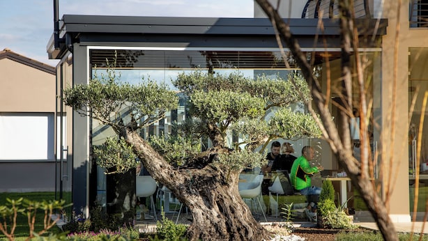 A modern building with a glass facade, a large tree in the foreground, and a person sitting at a table. - Magrine Castelfranco Veneto  (Castelfranco Veneto)