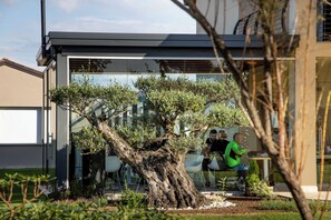 Un edificio moderno con fachada de vidrio, un gran árbol en primer plano y una persona sentada a una mesa.