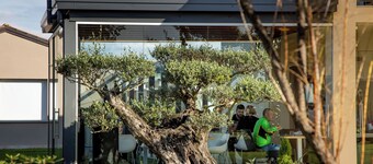 Magrine Castelfranco Veneto 