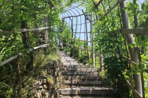 Eine Steintreppe, umgeben von Pflanzen, die zu einem überdachten Bereich mit Glasdach führt.