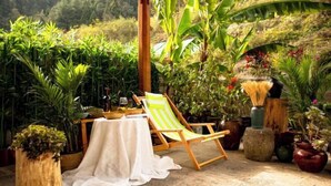 Een terras met een houten stoel, een tafeltje en verschillende potplanten.