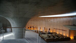Un intérieur moderne avec un plafond incurvé, un espace salon et un escalier.