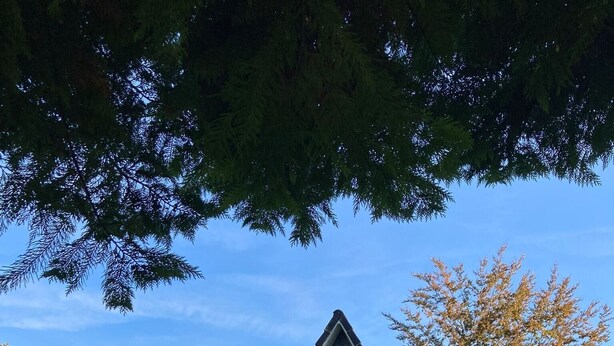 A house with a triangular roof, a front door, and a visible address sign.