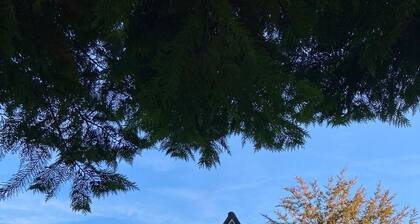 Ferienhaus 'Nurdachhaus Sauerland' mit privatem Garten, Grill & Feuerschale