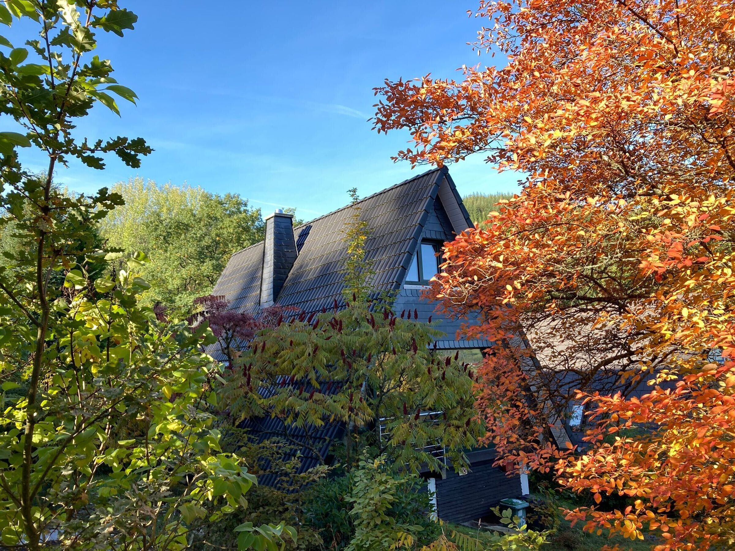 Une maison avec un toit en pente, entourée d’arbres aux feuilles d’automne.