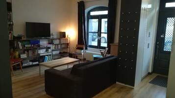 Télévision, cheminée, jeux vidéo, livres