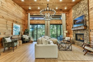 Smart TV, fireplace, books