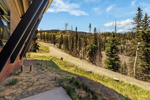 A view from a building's exterior looking down a gravel path surrounded by trees, with a mountain in the distance.