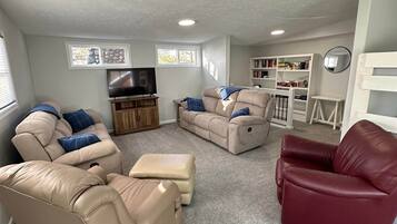 Smart TV, fireplace, books