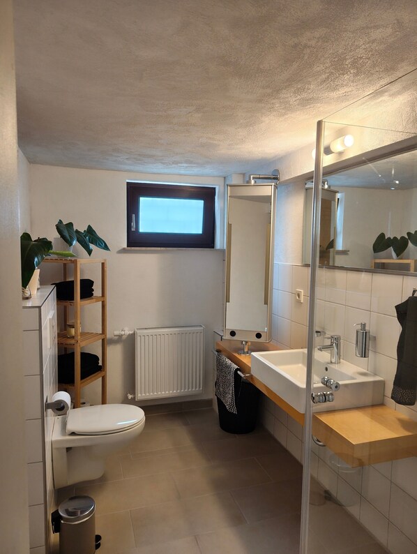 Shower, hair dryer, towels