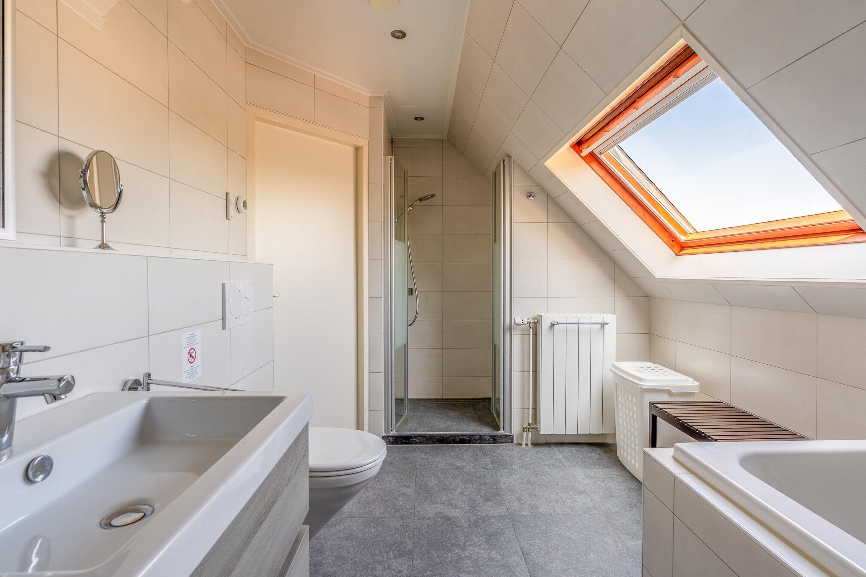 A modern bathroom with a skylight, a large bathtub, a shower, and a toilet.