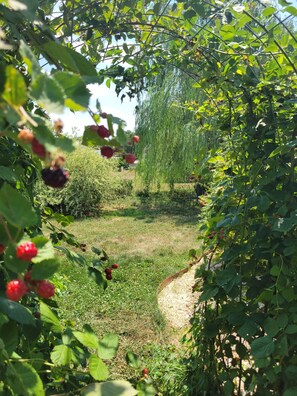 Property grounds - Quiet corner lot w/fruit trees & gardens! Just 10mins-Hershey, 25mins-Hburg! (Palmyra)