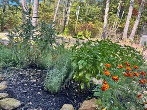 Property grounds - NEW! Book now for discounted rates! 10 1/2 private acres, views, hot tub, & more (Dunlap)