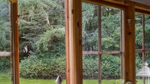 Une fenêtre donnant sur un jardin luxuriant et une forêt dense.