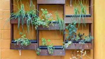 Áreas de la propiedad