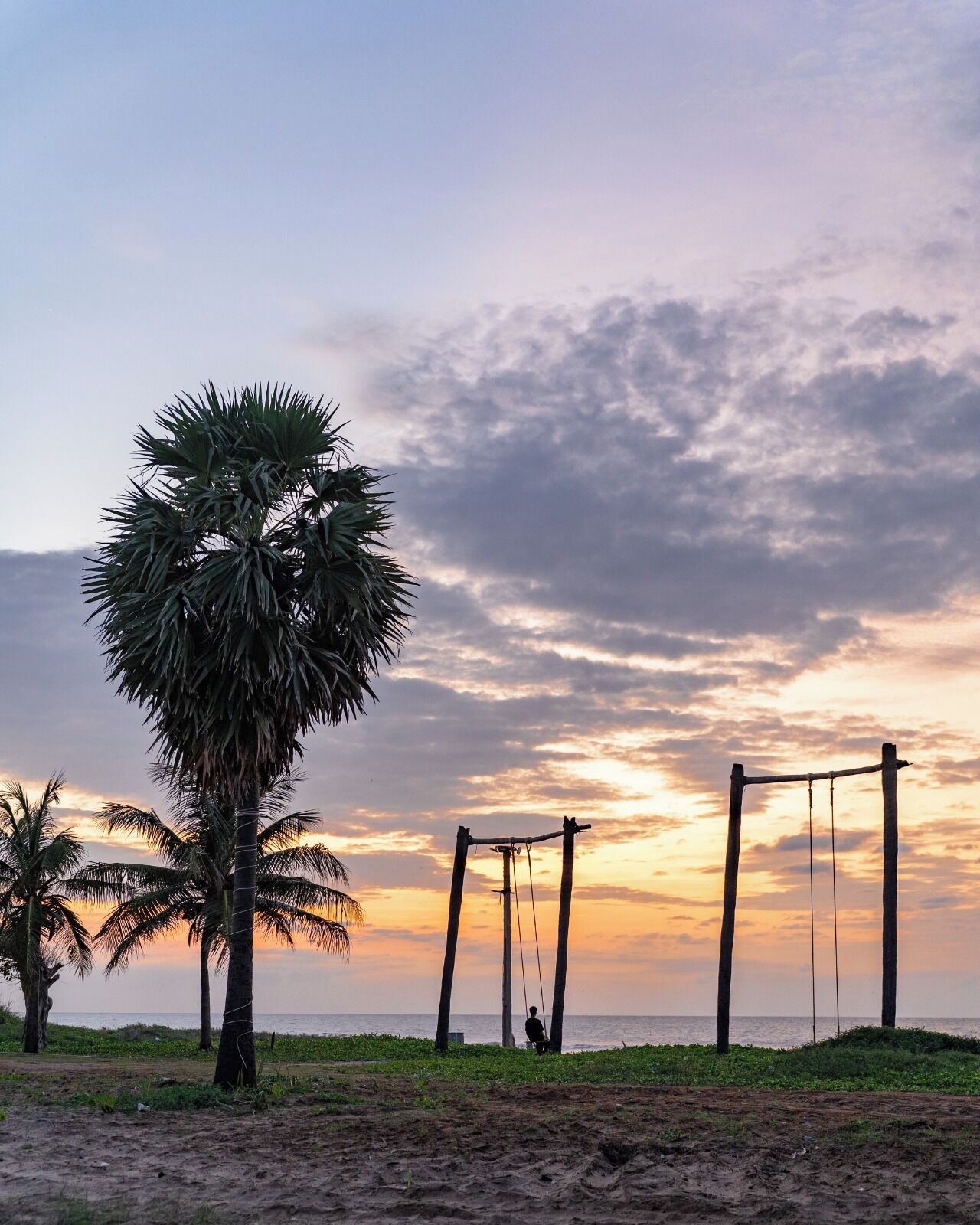 ビーチ / オーシャン ビュー