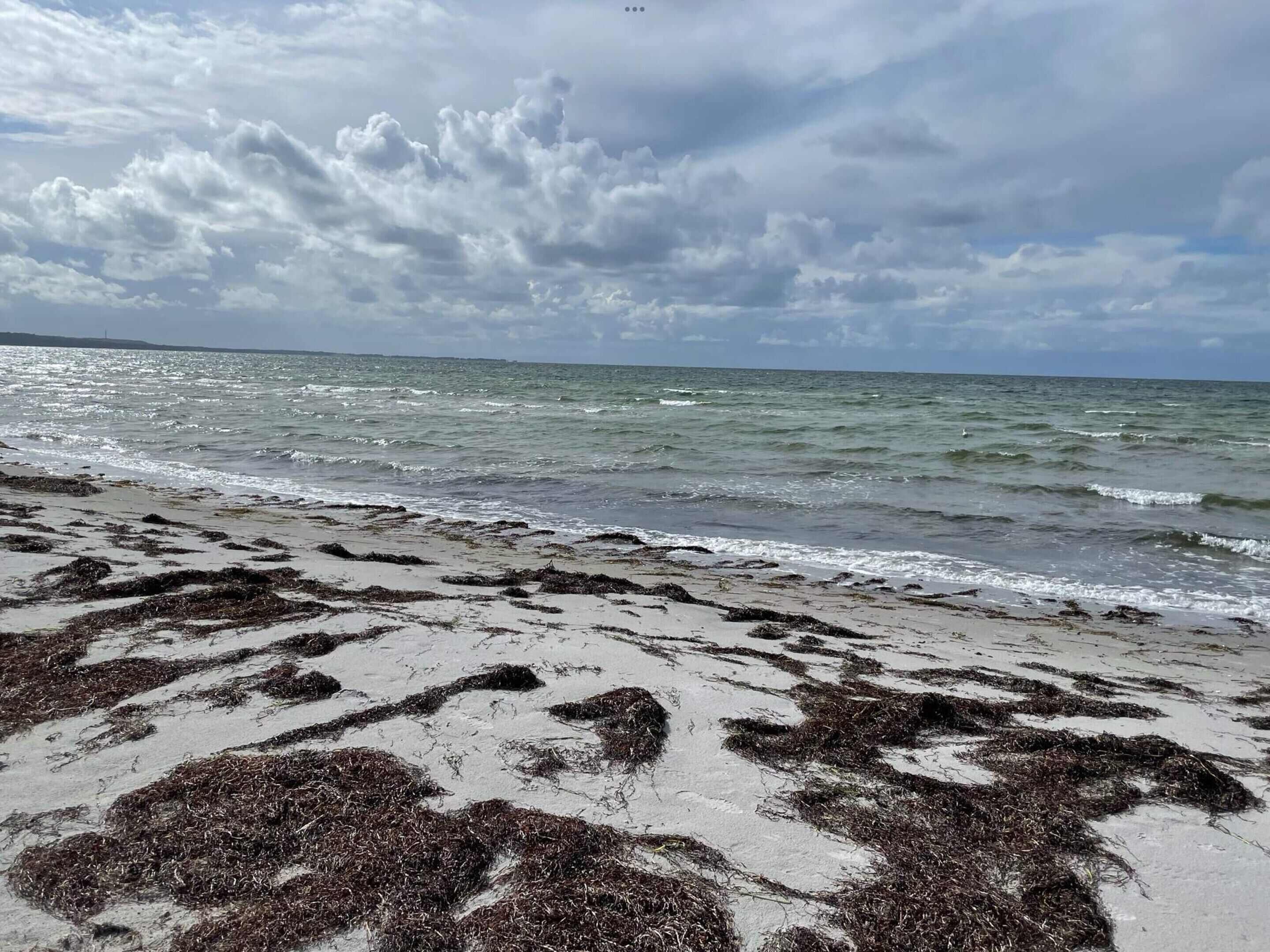 House | Beach