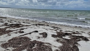 House | Beach - 5 Star Holiday Home in Hojby (Hojby)